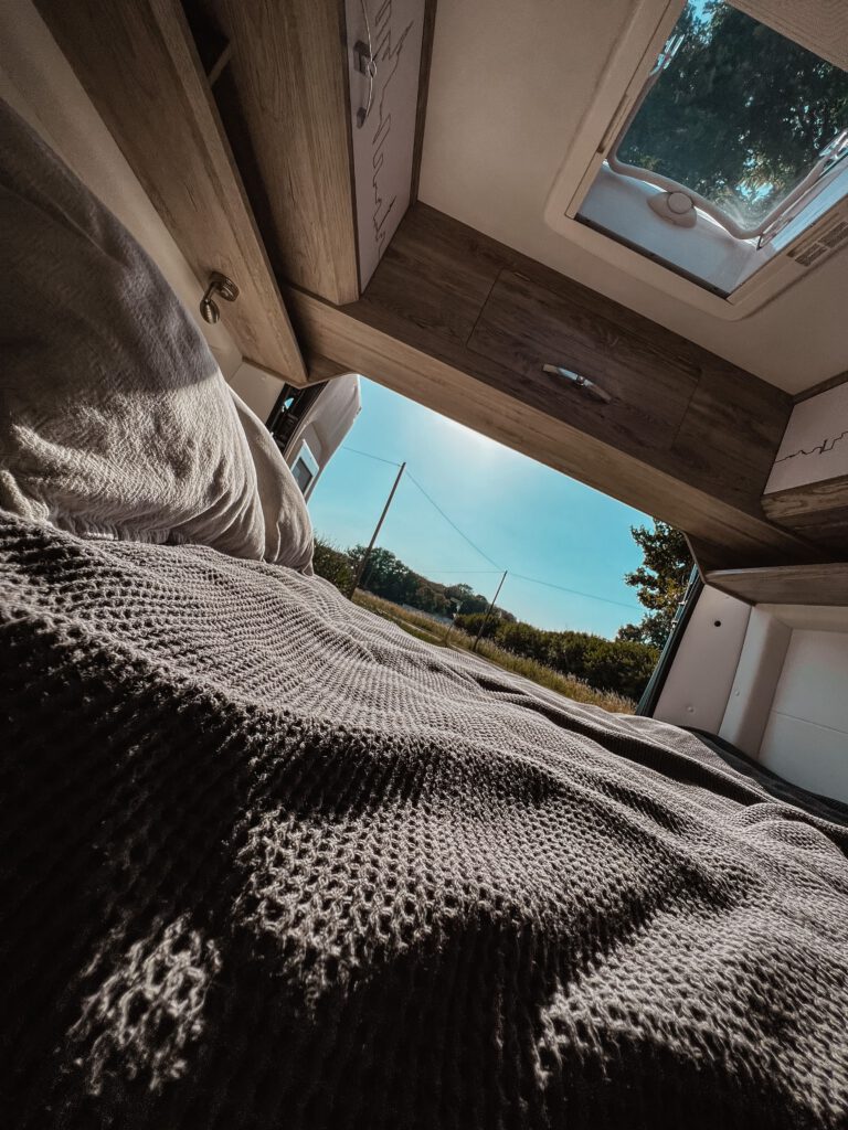 Kastenwagen Bravia Swan Trend 599 Bett